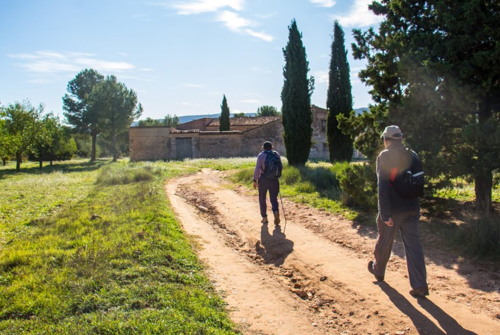 fontanars 2019 11 06 101