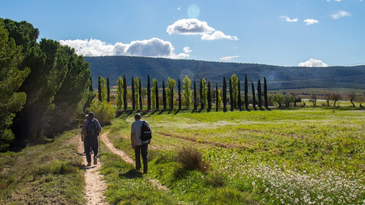 fontanars 2019 11 06 185