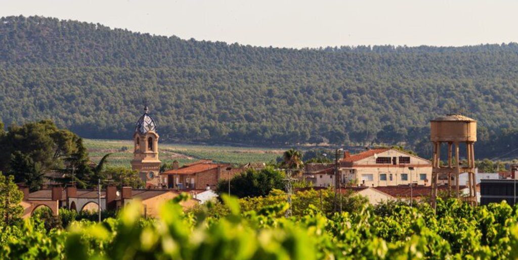 fontanarsdelsalforins portada